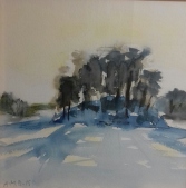 Anne-Mari Bjorninen - Saari